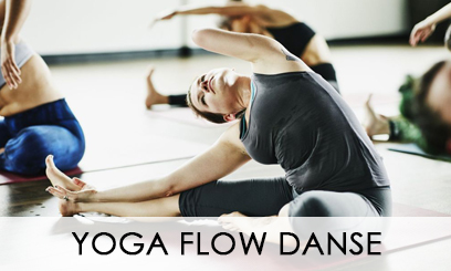 Yoga Vinyasa Flow 2023-2024